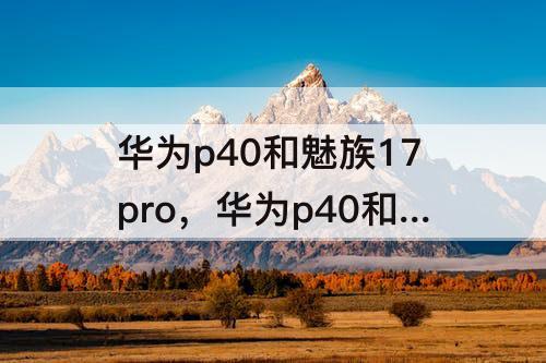 华为p40和魅族17pro，华为p40和魅族17pro哪个好