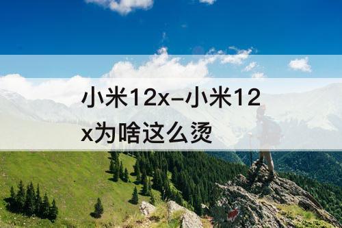 小米12x-小米12x为啥这么烫