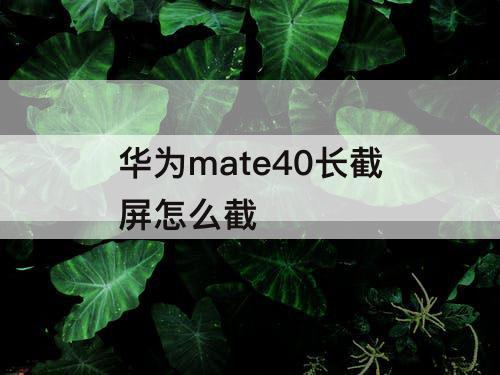 华为mate40长截屏怎么截
