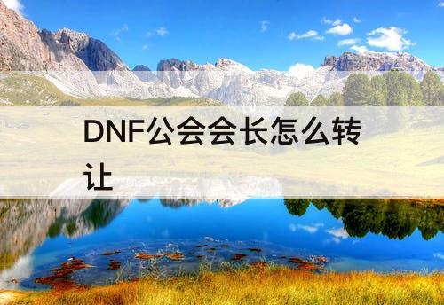 DNF公会会长怎么转让