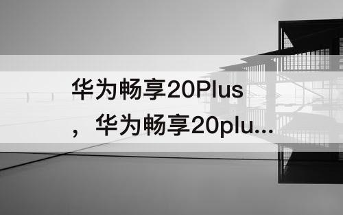 华为畅享20Plus，华为畅享20plus语音唤醒功能