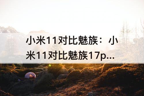 小米11对比魅族：小米11对比魅族17pro
