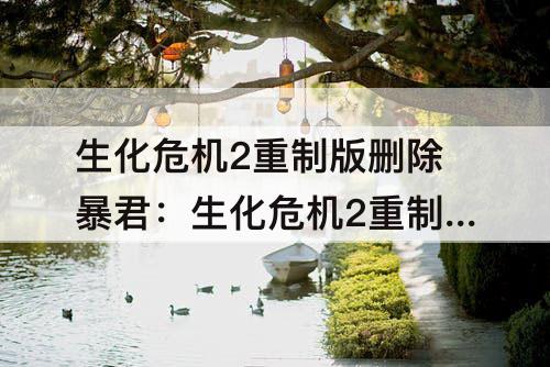 生化危机2重制版删除暴君：生化危机2重制版删除暴君mod