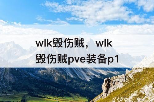 wlk毁伤贼，wlk毁伤贼pve装备p1