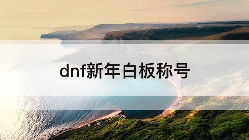 dnf新年白板称号
