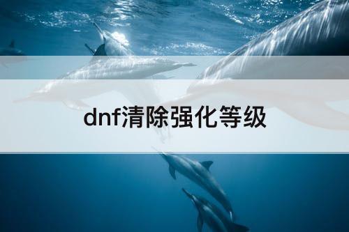 dnf清除强化等级