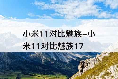 小米11对比魅族-小米11对比魅族17