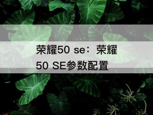 荣耀50 se：荣耀50 SE参数配置