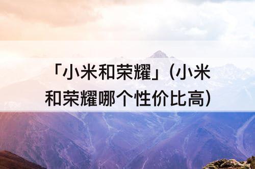 「小米和荣耀」(小米和荣耀哪个性价比高)