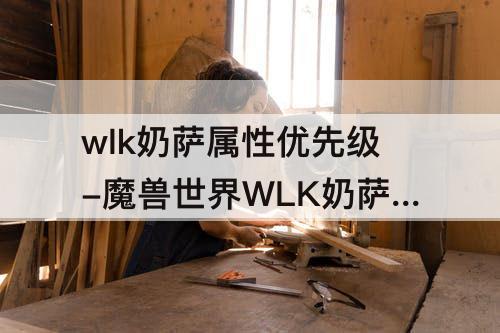 wlk奶萨属性优先级-魔兽世界WLK奶萨属性优先级