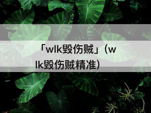 「wlk毁伤贼」(wlk毁伤贼精准)