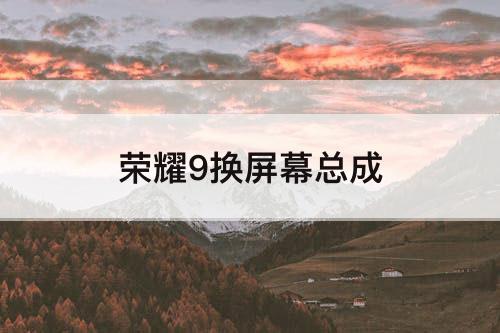 荣耀9换屏幕总成