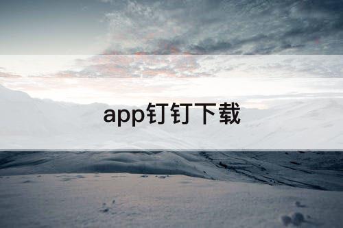 app钉钉下载