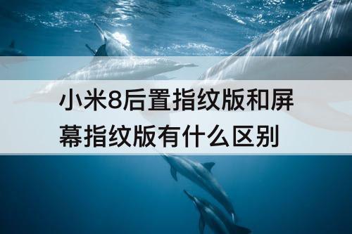 小米8后置指纹版和屏幕指纹版有什么区别