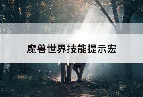 魔兽世界技能提示宏
