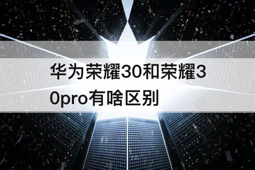 华为荣耀30和荣耀30pro有啥区别