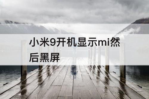小米9开机显示mi然后黑屏