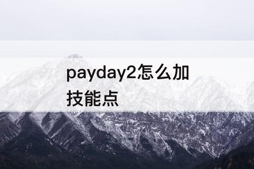 payday2怎么加技能点