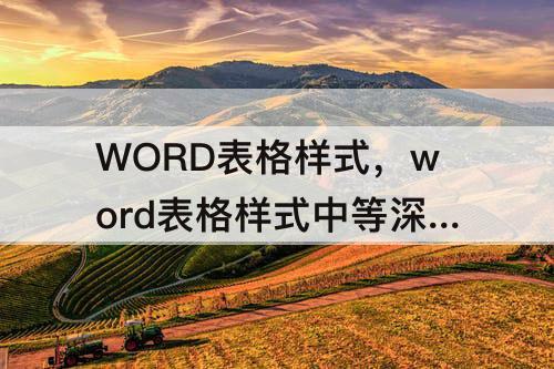 WORD表格样式，word表格样式中等深浅网格1