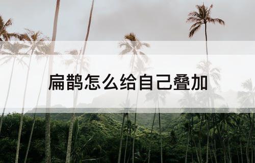 扁鹊怎么给自己叠加