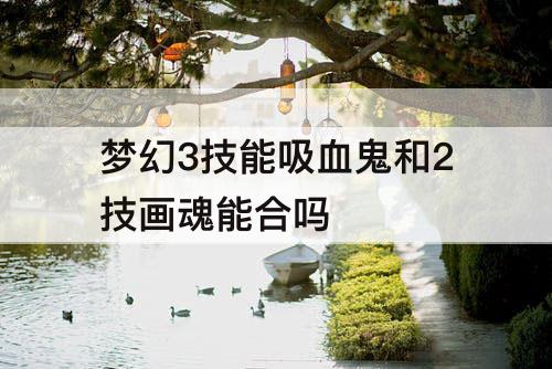 梦幻3技能吸血鬼和2技画魂能合吗