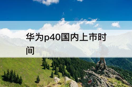 华为p40国内上市时间