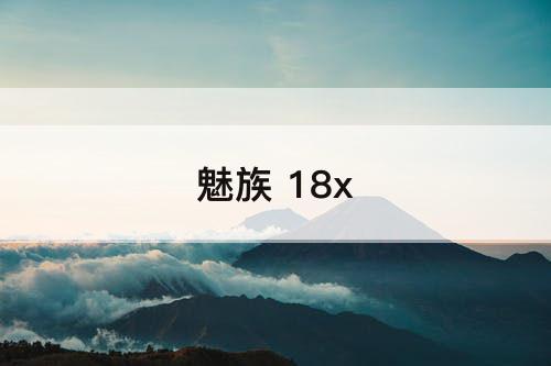 魅族 18x