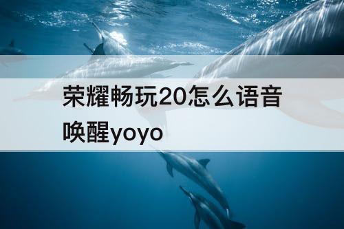 荣耀畅玩20怎么语音唤醒yoyo