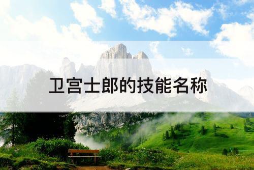 卫宫士郎的技能名称