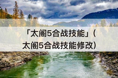 「太阁5合战技能」(太阁5合战技能修改)