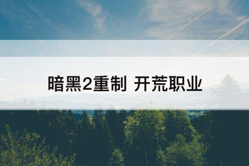 暗黑2重制 开荒职业