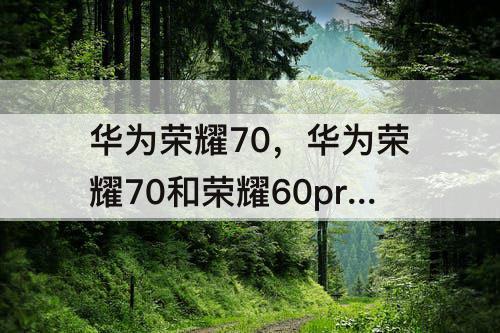 华为荣耀70,华为荣耀70和荣耀60pro哪个好