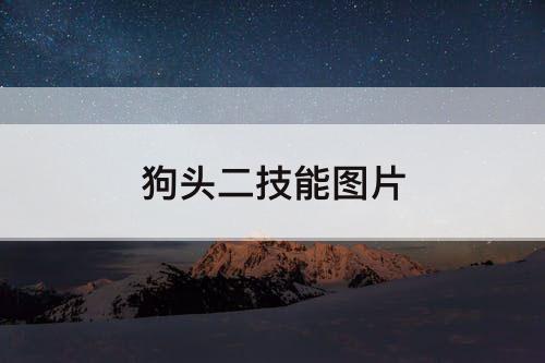 狗头二技能图片