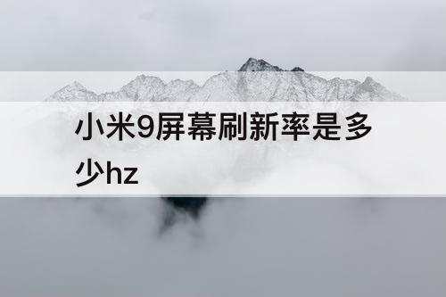 小米9屏幕刷新率是多少hz