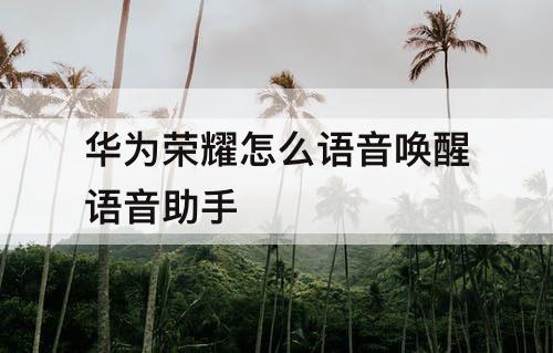 华为荣耀怎么语音唤醒语音助手
