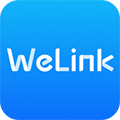 welink红色版ioswatch