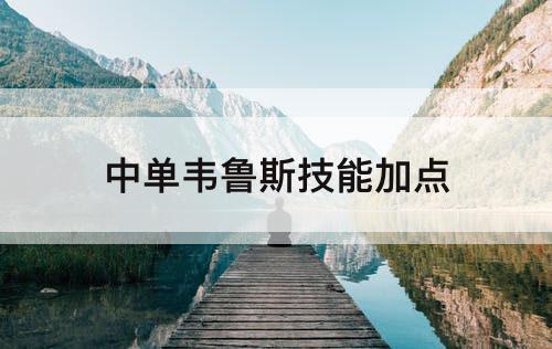 中单韦鲁斯技能加点