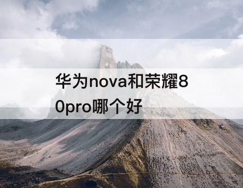 华为nova和荣耀80pro哪个好