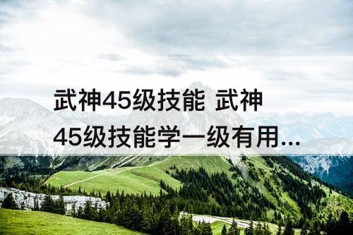 武神45级技能 武神45级技能学一级有用吗