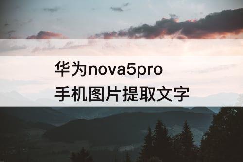 华为nova5pro手机图片提取文字