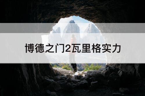 博德之门2瓦里格实力