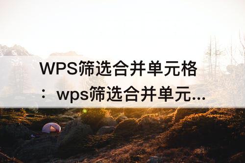 WPS筛选合并单元格:wps筛选合并单元格大小不一样