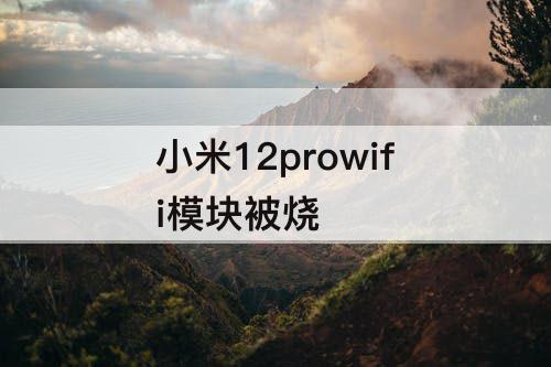 小米12prowifi模块被烧