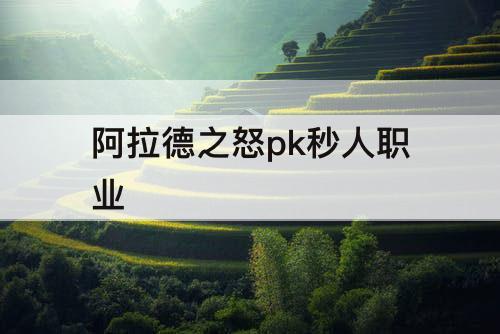 阿拉德之怒pk秒人职业