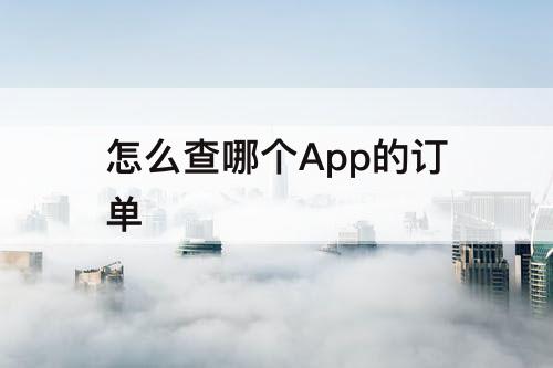 怎么查哪个App的订单