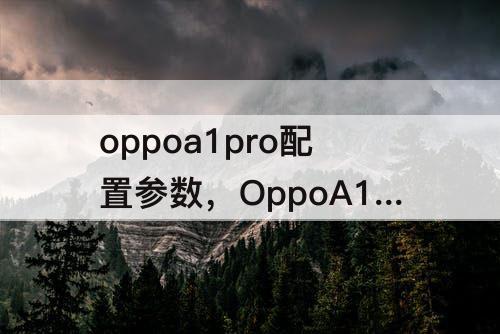 oppoa1pro配置参数,OppoA1pro配置参数表图片