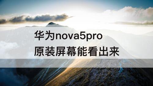 华为nova5pro原装屏幕能看出来