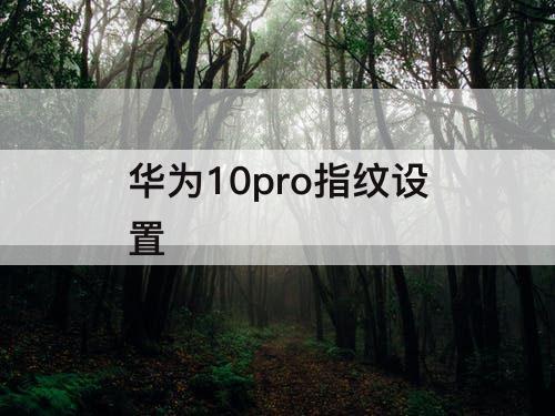 华为10pro指纹设置