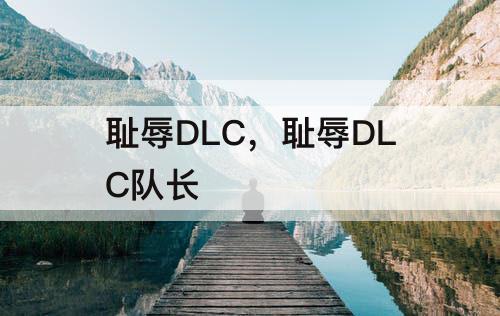 耻辱DLC,耻辱DLC队长