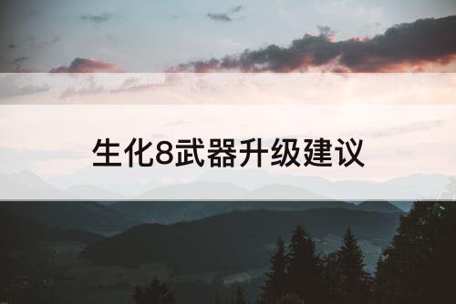 生化8武器升级建议